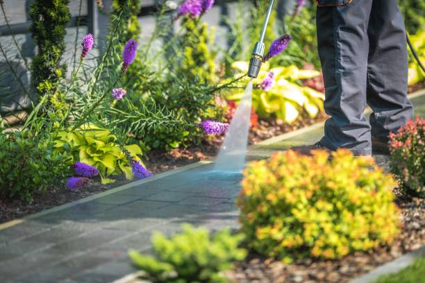 Reliable Marshall, AR Pressure Washing Services Solutions