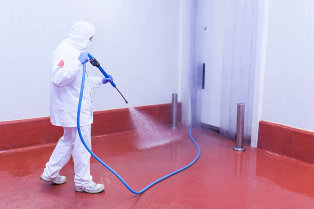 Best Oil Spill Cleanup  in Mshall, AR